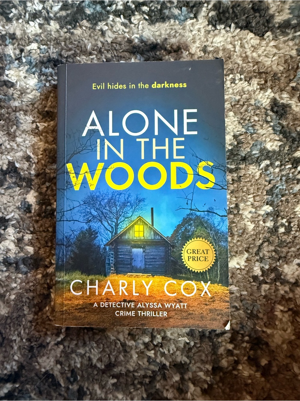 Alone in the Woods by — Blue & Yellow Hardcover Book